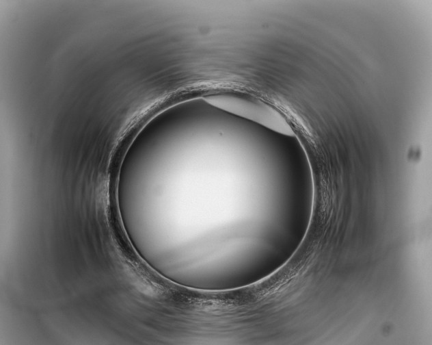 X0000099510486200805221425