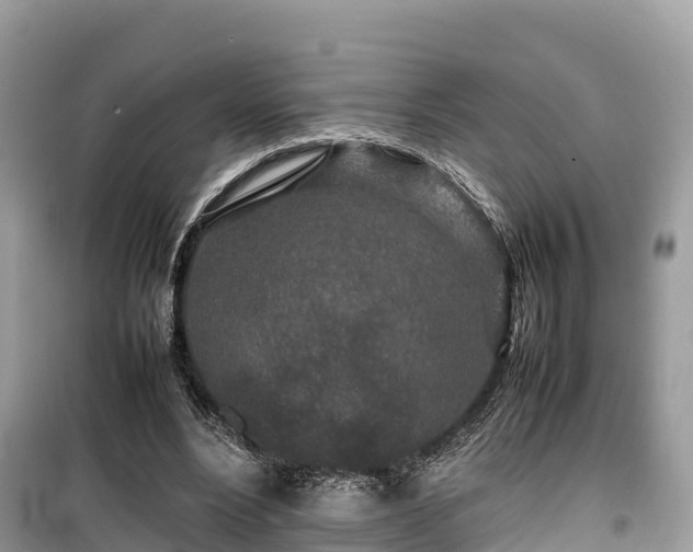 X0000099510488200805221425