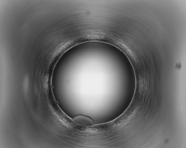 X0000099510490200805221425