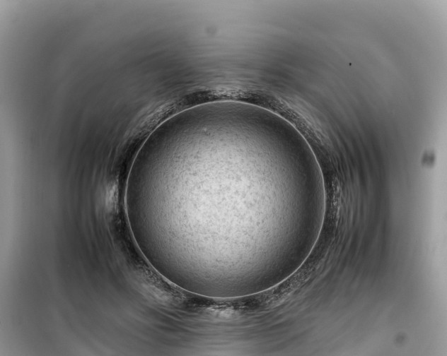 X0000099510502200805221425