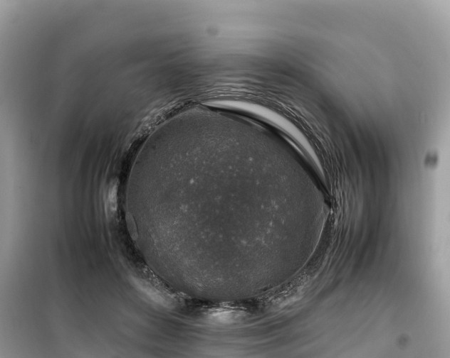 X0000099510504200805221425