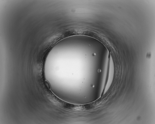 X0000099510505200805221425