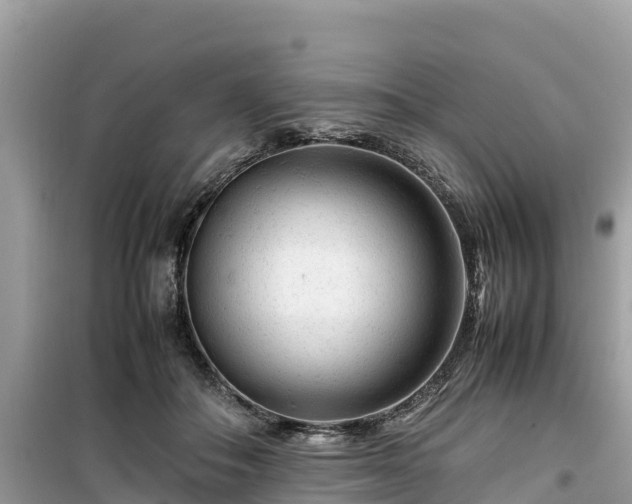 X0000099510506200805221425