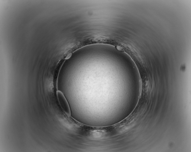 X0000099510508200805221425