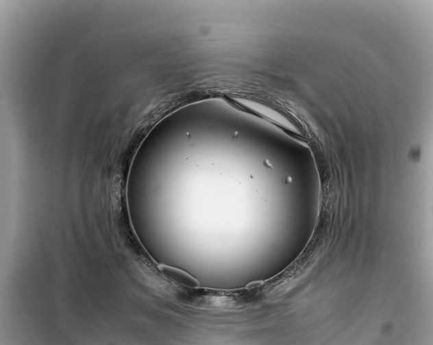 X0000099510509200805221425
