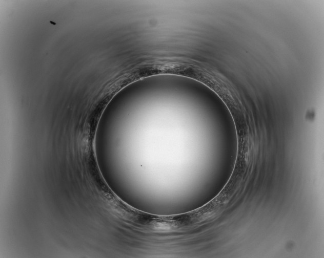 X0000099510510200805221425