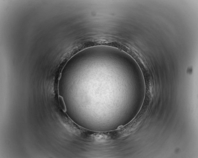X0000099510512200805221425