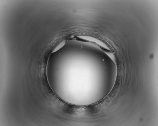 X0000099510513200805221425