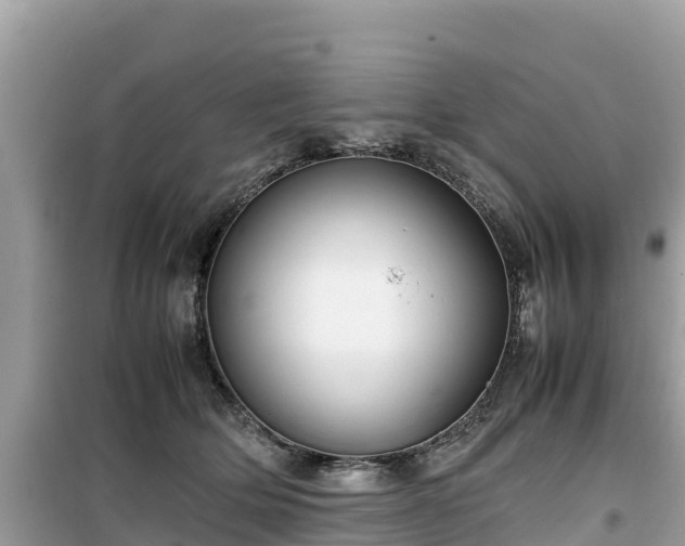 X0000099510514200805221425