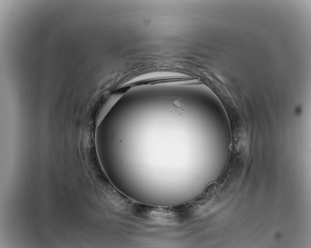 X0000099510515200805221425