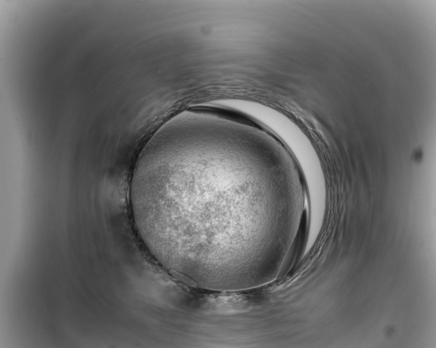 X0000099510517200805221425