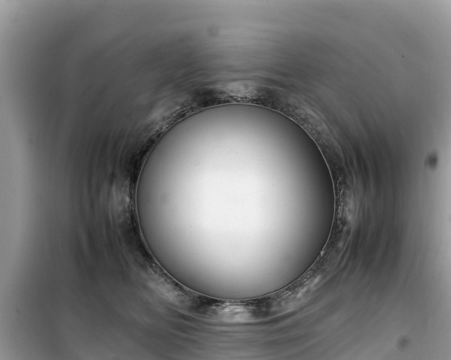X0000099510518200805221425