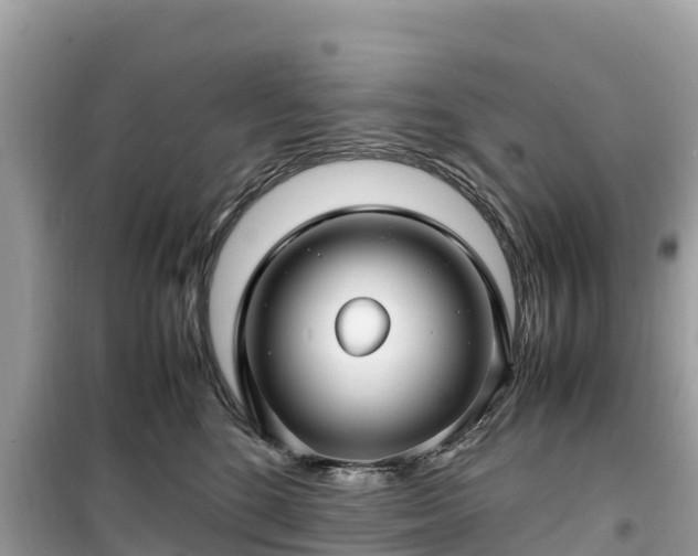 X0000099510520200805221425