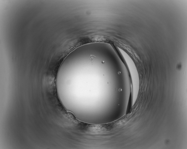 X0000099510521200805221425