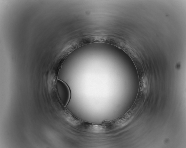 X0000099510522200805221425