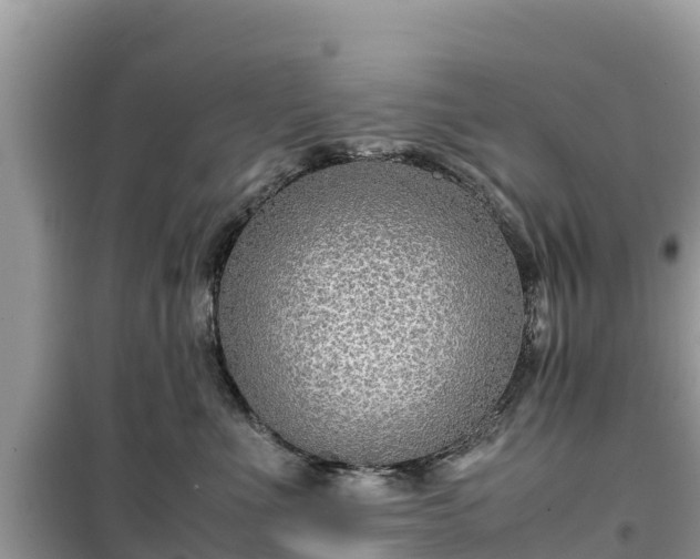 X0000099510523200805221425