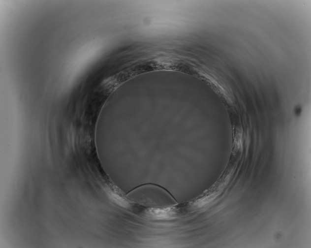X0000099510526200805221425