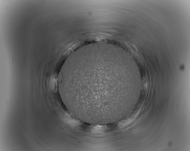 X0000099510527200805221425