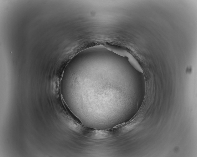 X0000099510528200805221425