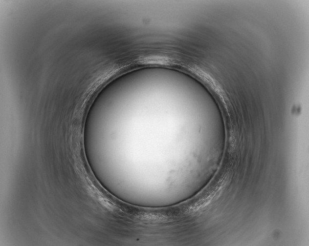 X0000099510529200805221424