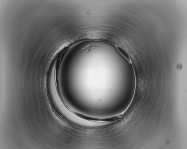 X0000099510530200805221424
