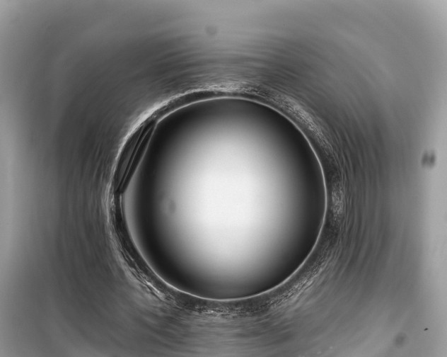 X0000099510532200805221424