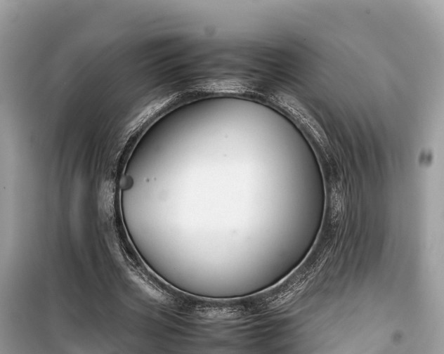 X0000099510533200805221424