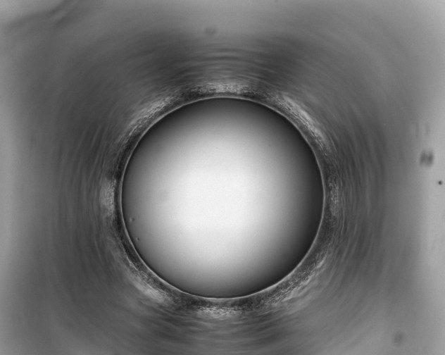 X0000099510537200805221424