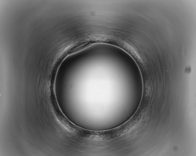 X0000099510538200805221424