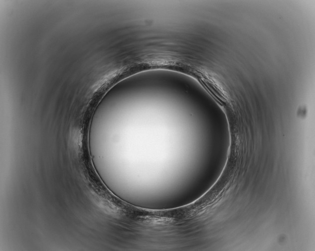 X0000099510539200805221424
