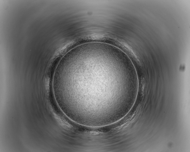X0000099510542200805221424