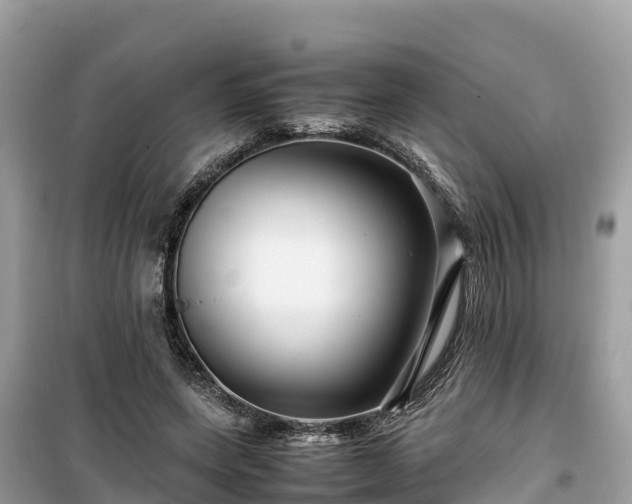 X0000099510543200805221424