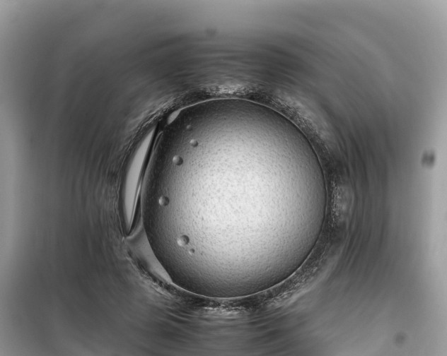 X0000099510545200805221424