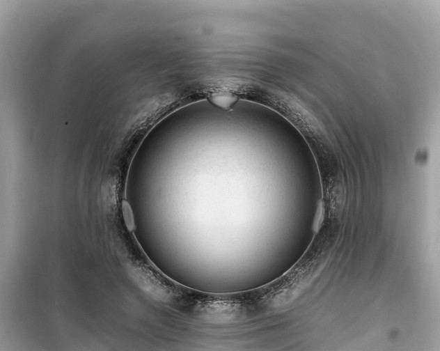 X0000099510546200805221424