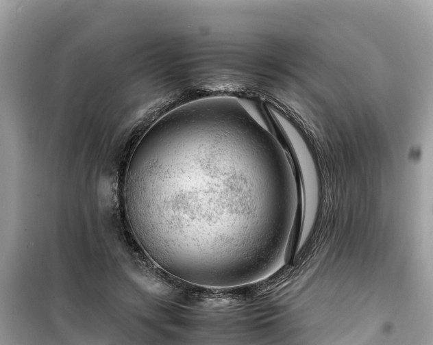 X0000099510547200805221424
