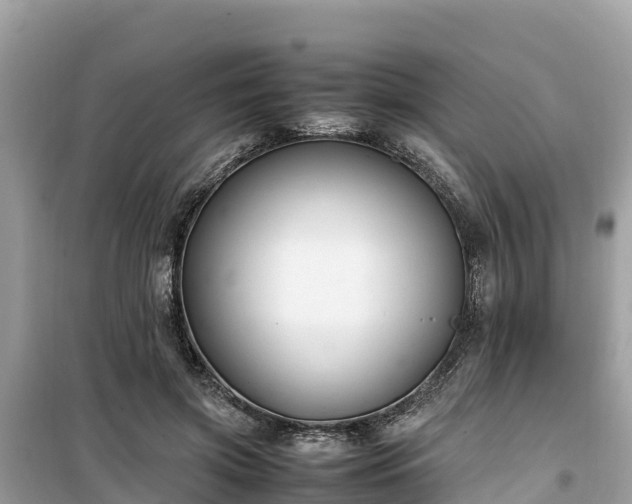X0000099510549200805221424