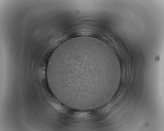 X0000099510553200805221424