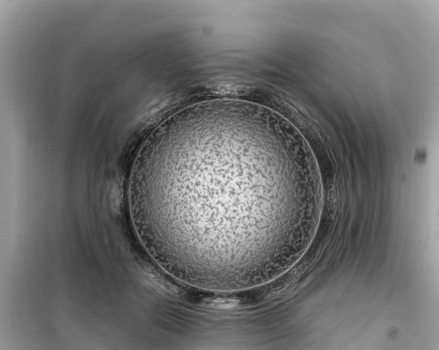 X0000099510554200805221424