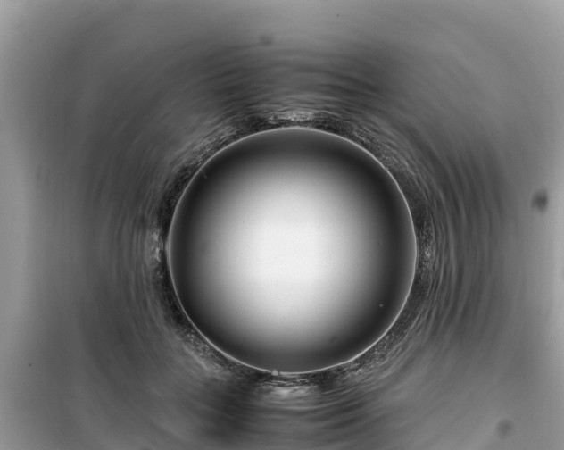 X0000099510555200805221424