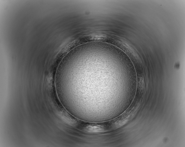 X0000099510557200805221424