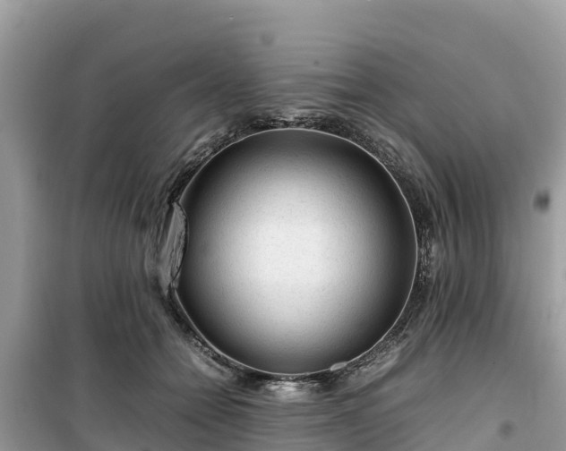 X0000099510558200805221424