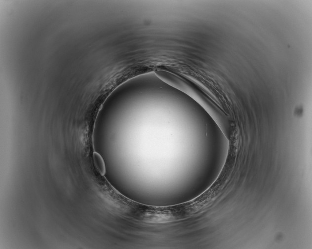 X0000099510559200805221424