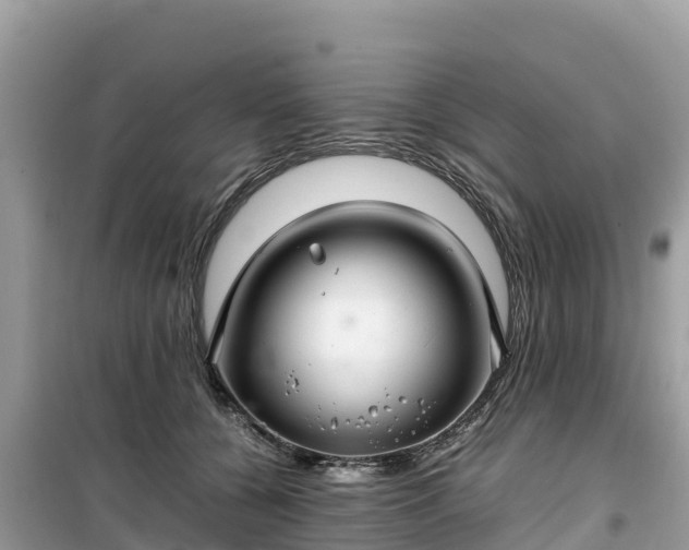 X0000099510560200805221424