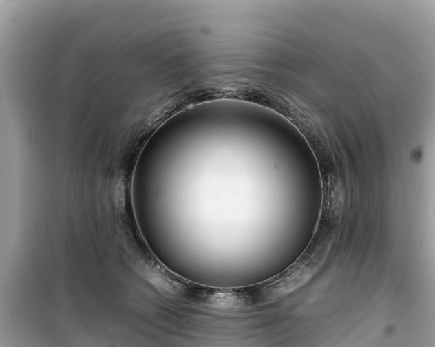 X0000099510562200805221424