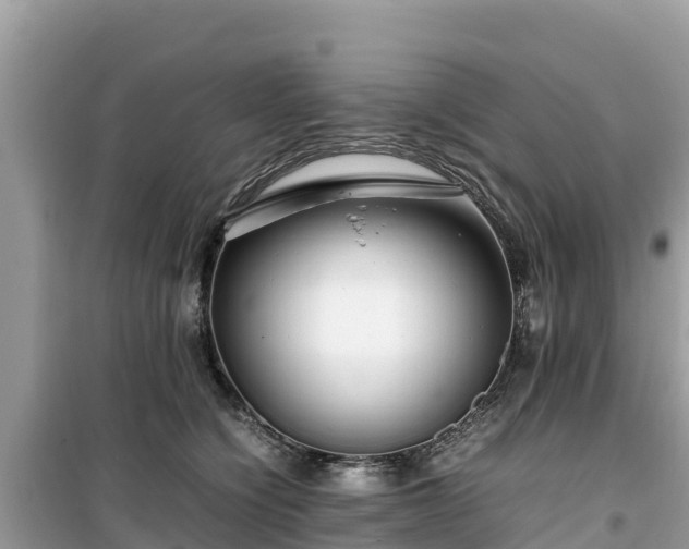 X0000099510564200805221424
