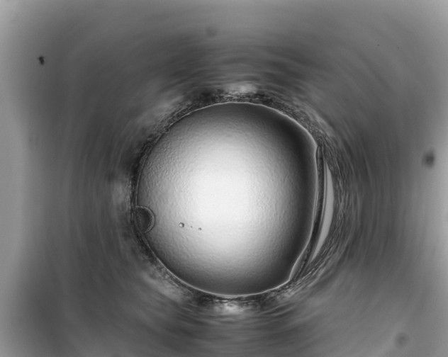 X0000099510565200805221424