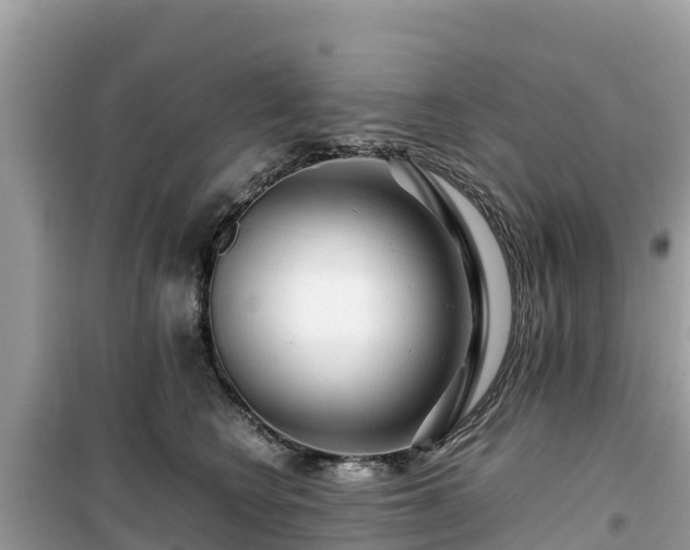 X0000099510566200805221424