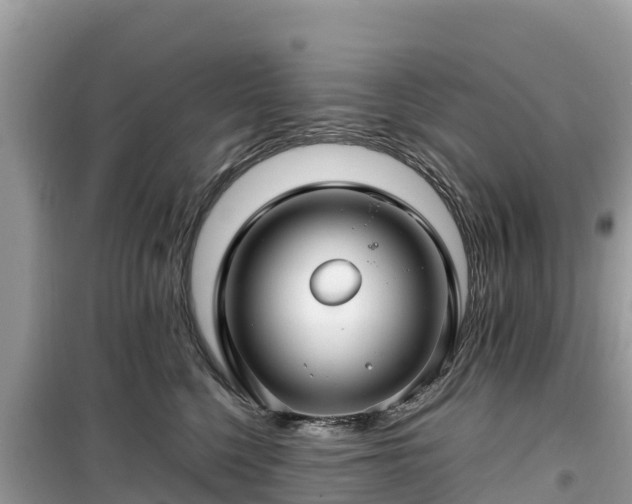 X0000099510568200805221424