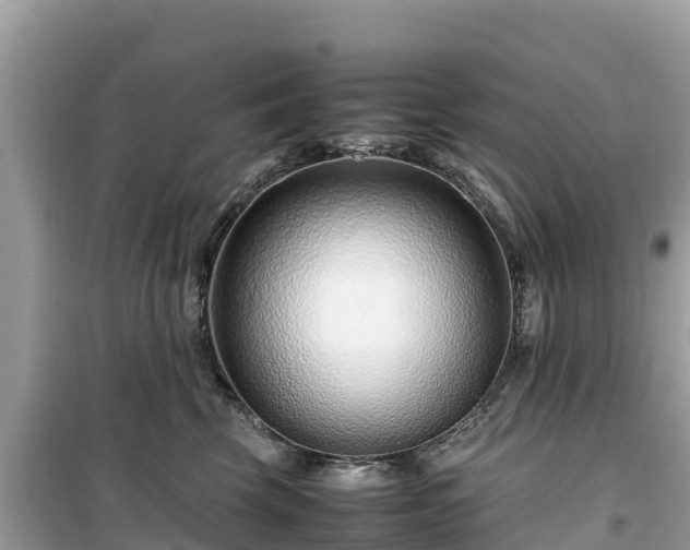 X0000099510569200805221424