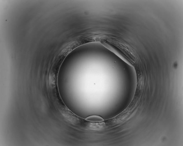X0000099510571200805221424